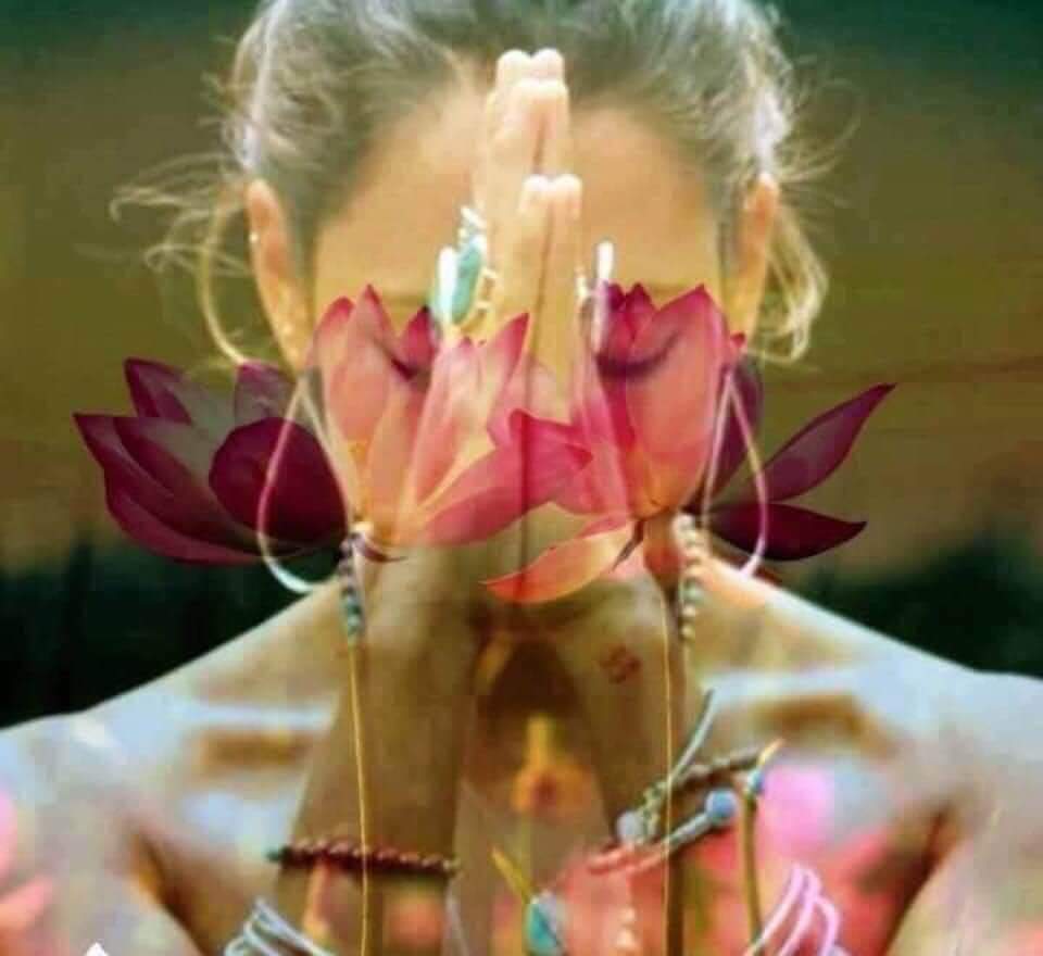 Méditation et ondes cérébrales